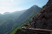 In GRIGNONE, versante nord, da Cainallo sui sentieri estivi 24 Rif. Bietti e 25 Rif. Bogani dom. 29 maggio 2011 - FOTOGALLERY
